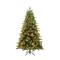 7.5ft. Pre-Lit Hunter Spruce Artificial Christmas Tree, Color Changing LED Lights by Ashland®